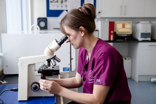 Hannah performing microscopy